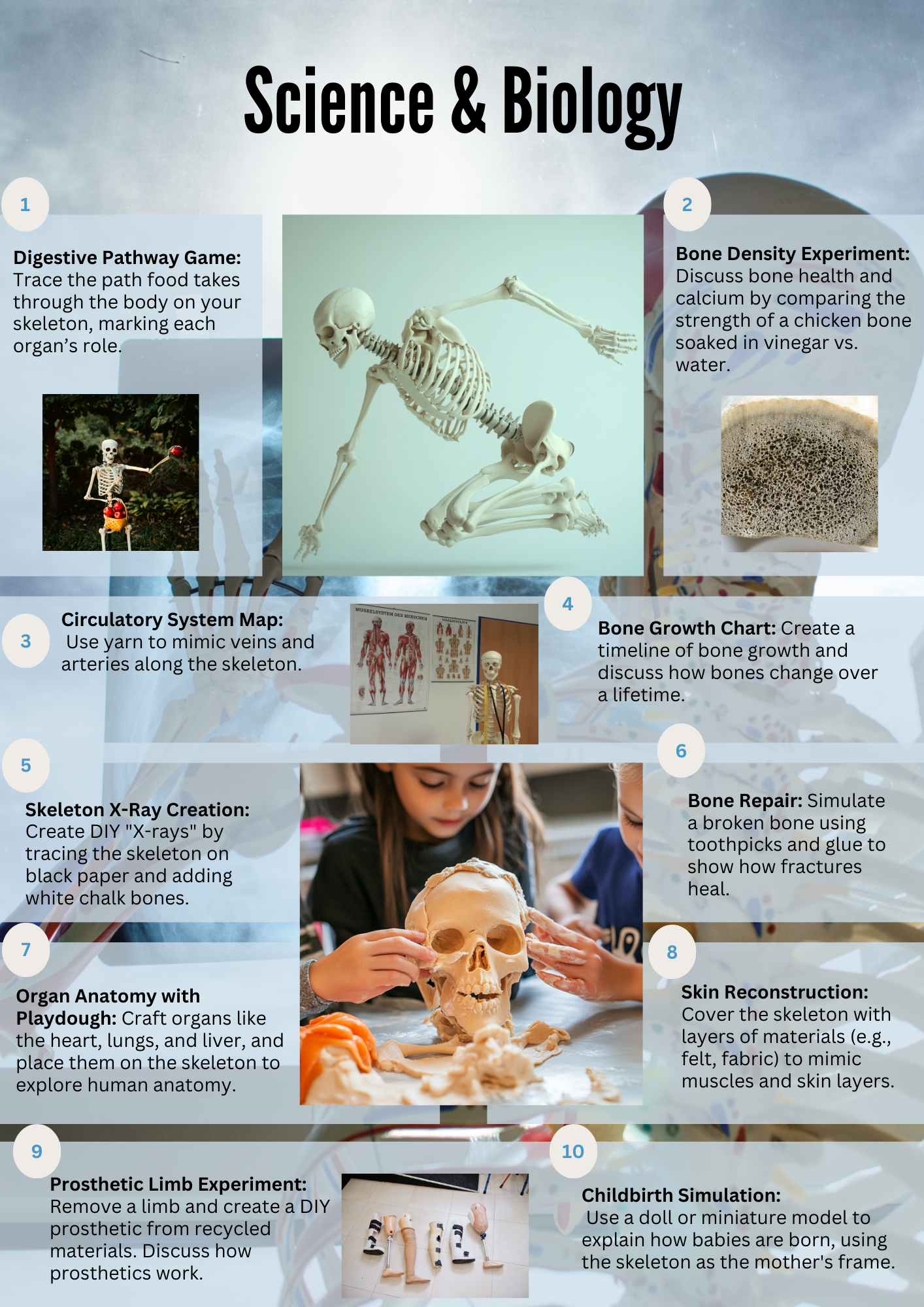 50 Engaging Skeleton Learning Activities